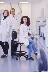 Fototapeta premium scientists working at the laboratory