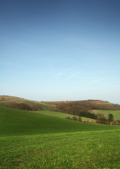 general landscape view