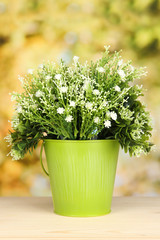 Decorative flowers in pot on bright background