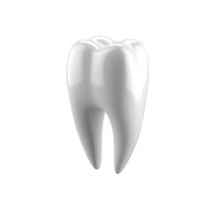 White human tooth