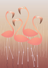 Four Flamingos