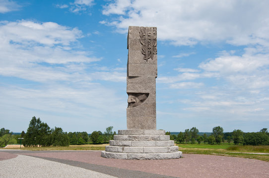 Grunwald - monument