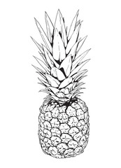 Black and white illustration of a pineapple