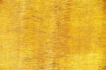 Fotobehang texture of wooden © inacio pires