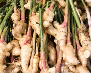 Display of fresh ginger root