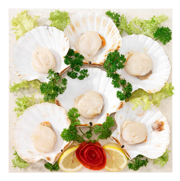 Capasanta - Scallops