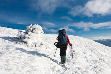 Fototapeta na wymiar Hike in winter mountain.