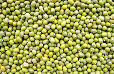 mung bean