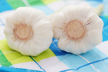 fresh garlic
