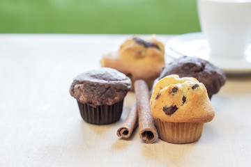 chocolate chip muffin