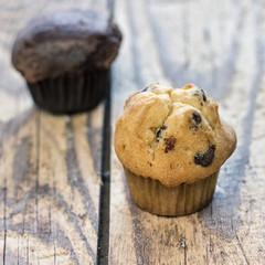 chocolate chip muffins