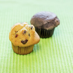 chocolate chip muffins