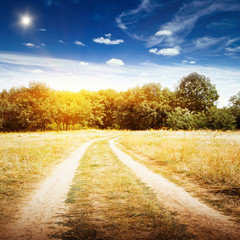 Fototapeta premium Rural road