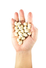 pistachio in hands isolated on white background