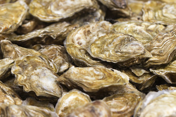 traditional oysters to celebrate the holidays