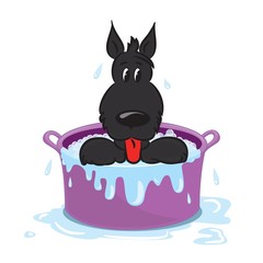 Funny puppy in the bath. Isolated on white. Vector illustration