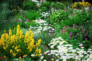 beautiful garden