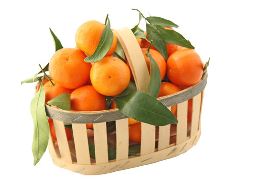 Fruits d hiver
