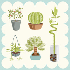 Illustration of Home Plants