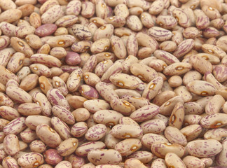 dried seeds of kidney bean