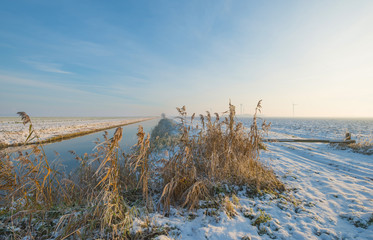 Canal throug a snowy countryside