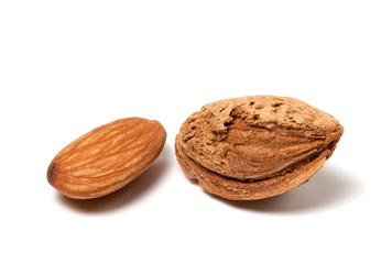 Two almonds on white background