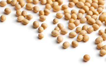 soy beans on white background
