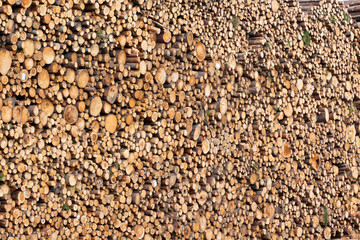 Pile of Wood