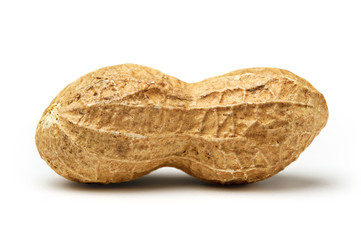 Peanut isolated on white background close up