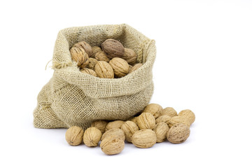 Burlap sack full of whole walnuts