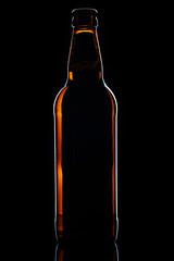 Beer botle on black background