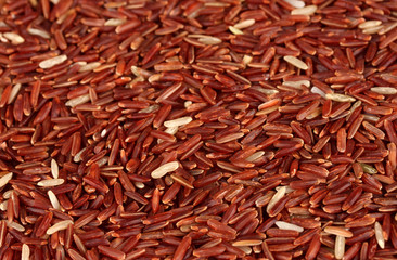 Background  red rice