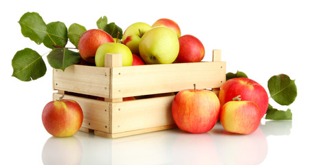 juicy apples with green leaves in wooden crate, isolated