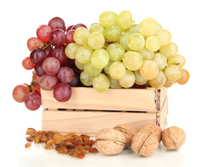 Grape with nuts isolated on white