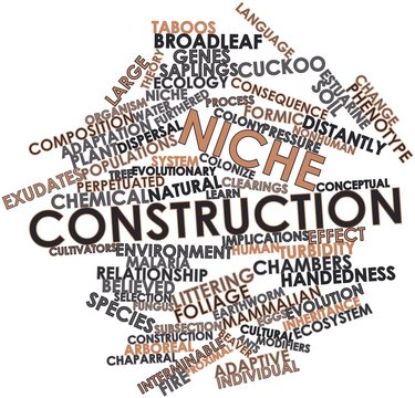 Word cloud for Niche construction