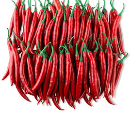 Red chilis the hot tasty from nature arranges on white