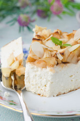 piece of cottage cheese pie with apples closeup