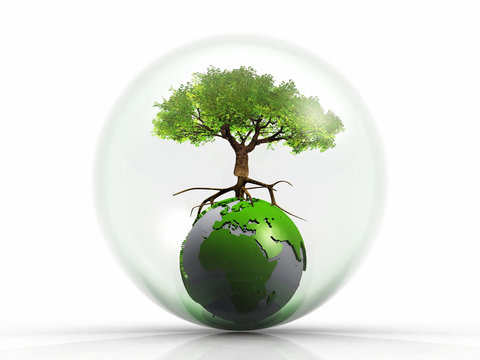 tree on the earth in a bubble
