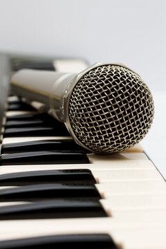 Microphone and electronic keyboard