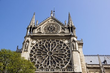 Fototapeta na wymiar Notre Dame de Paris, rozety, i roślinność (Paryż, Francja)
