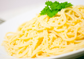 spaghetti with cheese