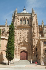 Fototapeta na wymiar Salamanca - katedr