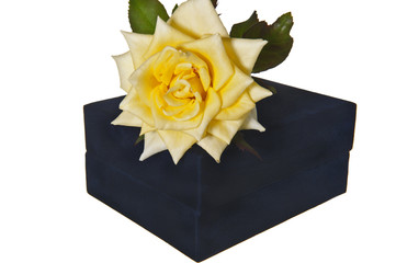 Gift box and rose