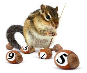 Funny chipmunk playing snooker