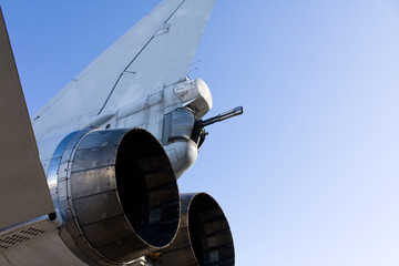 Tail plumage of bomber on a background sky
