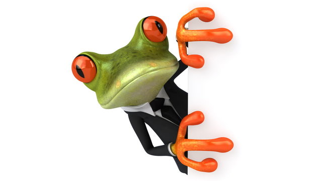 Fun frog