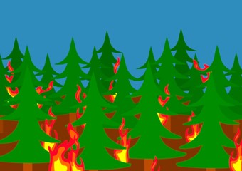 feu de forêt