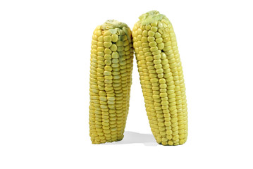Corn