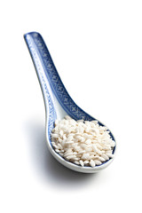 the uncooked arborio rice