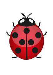 Marienkäfer - Glückssymbol